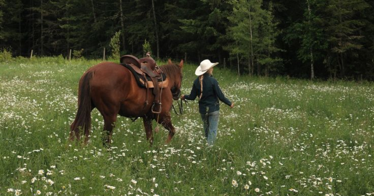How to Keep a Horse Training Diary You'll Actually Stick To
