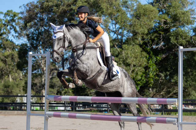 How Technology is Revolutionising Horse Management (and Why It’s Long Overdue)