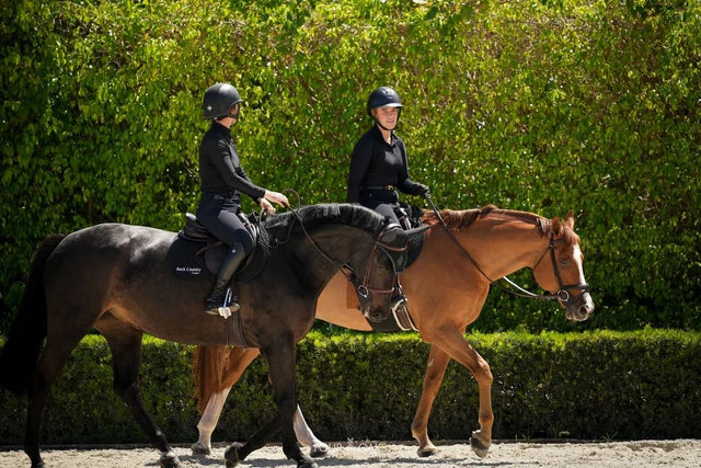 Pole Work Exercises for Horses: Where to Start and Why It Works