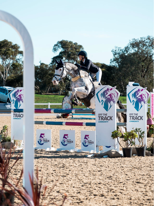 How to Warm Up a Horse Before Riding (and Why It's Worth the Ten Minutes)