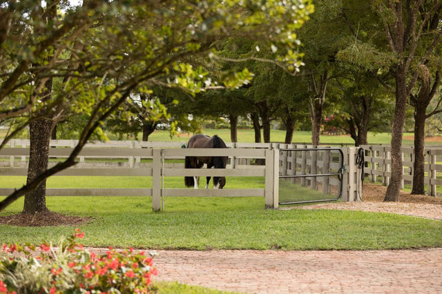 Signs Your Horse Needs a Rest Week (And Why It's Not Going Soft)