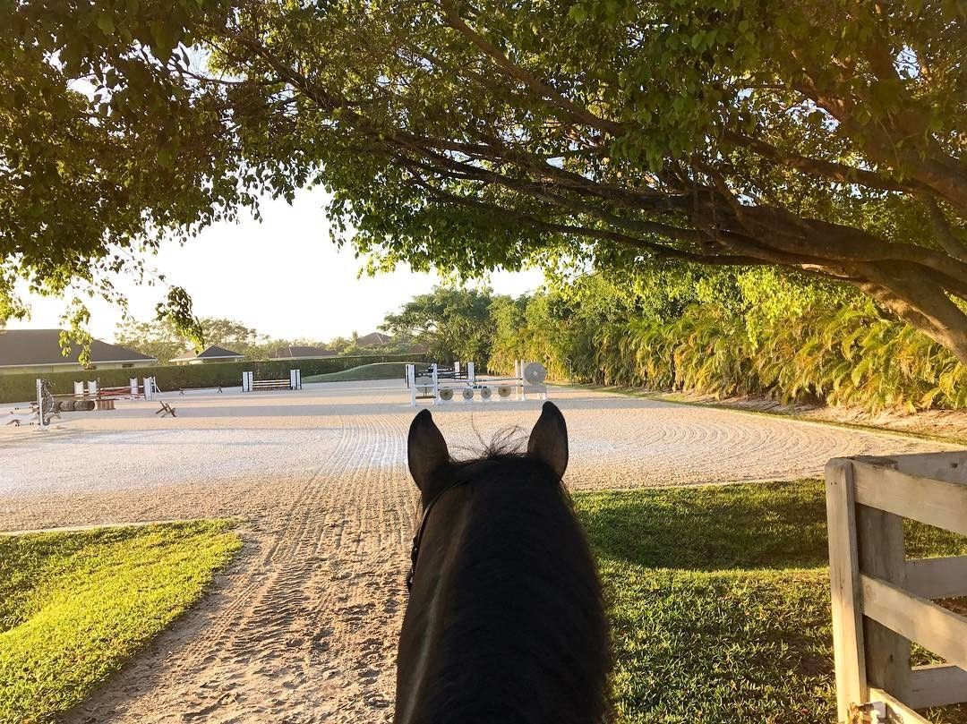 Signs Your Saddle Doesn't Fit Your Horse (And Why It's Worth Checking)
