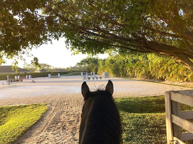 Signs Your Saddle Doesn't Fit Your Horse (And Why It's Worth Checking)