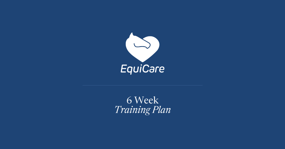 6 Week Training Plan