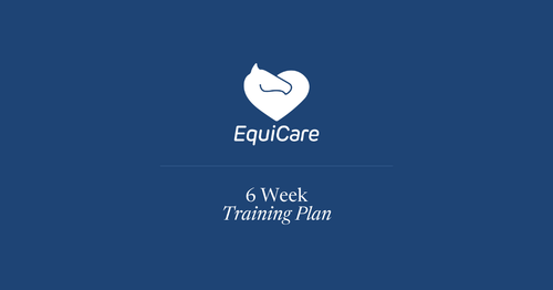 6 Week Training Plan