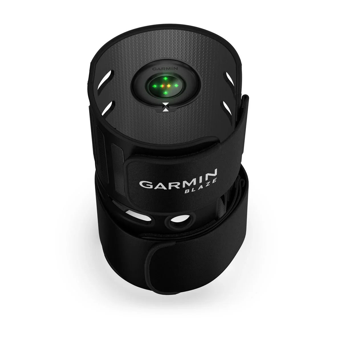 Garmin Blaze Equine Wellness System
