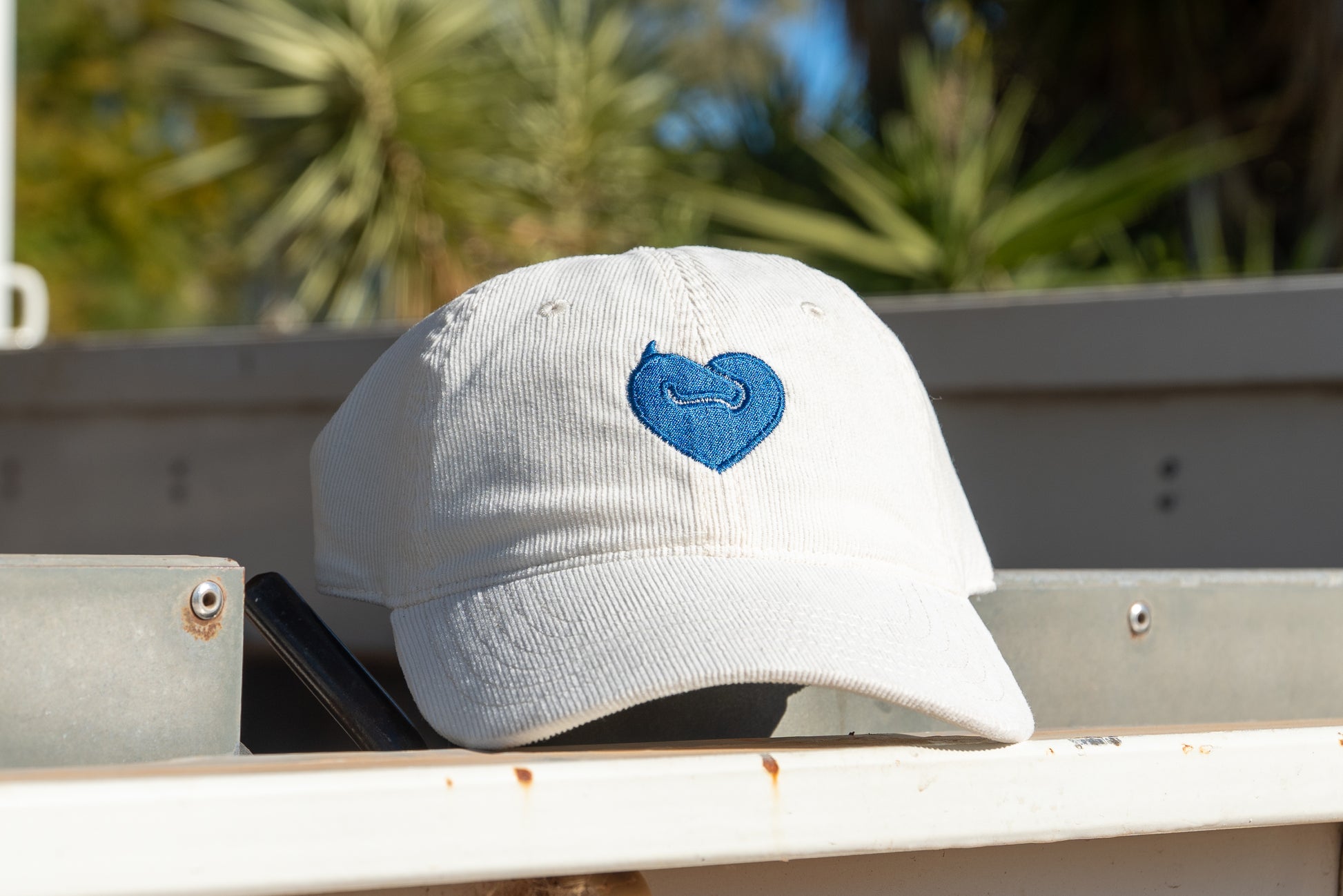 EquiCare Cream Cap