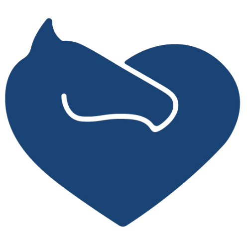 EquiCare